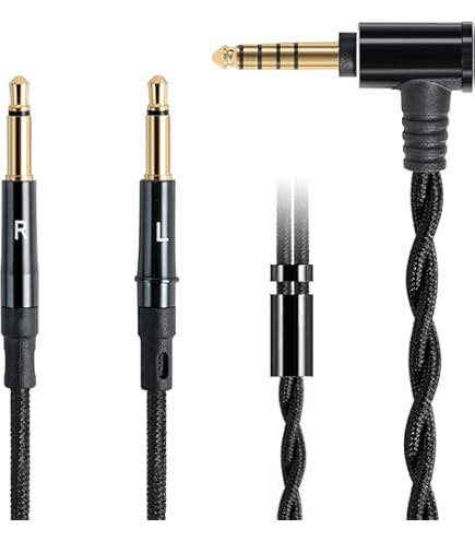Amazon.co.jp: HIFIMAN SUNDARA オーバーイヤー フルサイズ 平面磁気